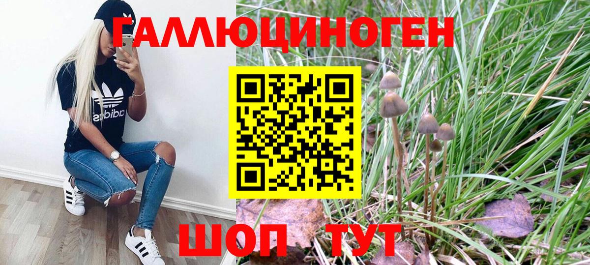 Псилоцибиновые грибы Psilocybine cubensis  Псилоцибиновые грибы GOLDEN TEACHER  Ржев  Вход с VPN 